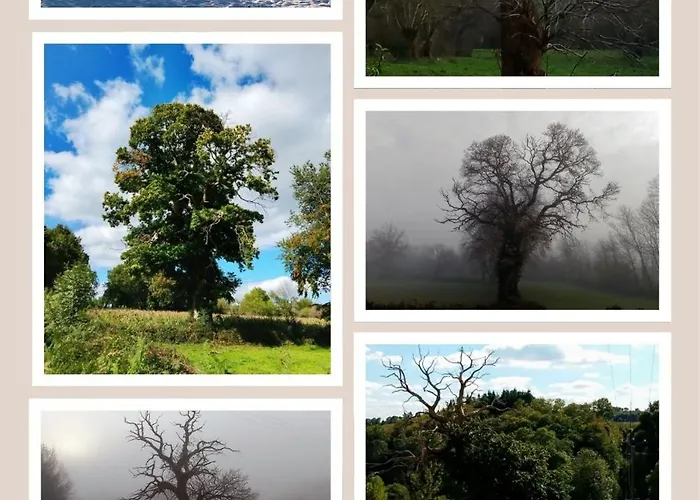 Les Glycines Сasa de vacaciones