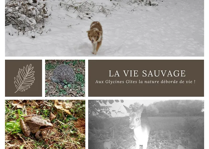 Les Glycines Сasa de vacaciones