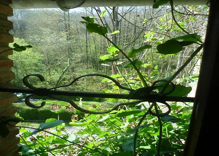 Les Glycines * Vernoux-en-Gâtine